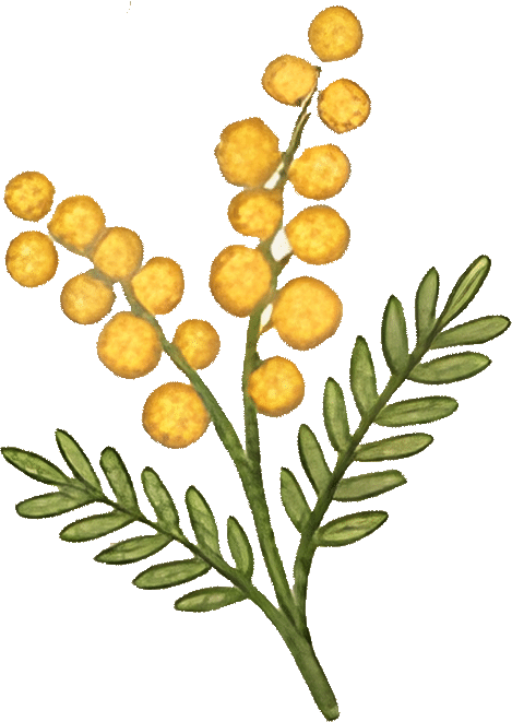 黄花束 (yellowFlowerBouquet)